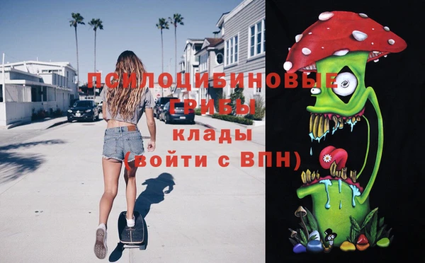 Альфа ПВП Армянск