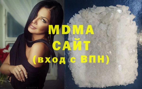 индика Алексин