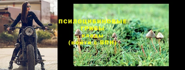 ПСИЛОЦИБИНОВЫЕ ГРИБЫ Аркадак