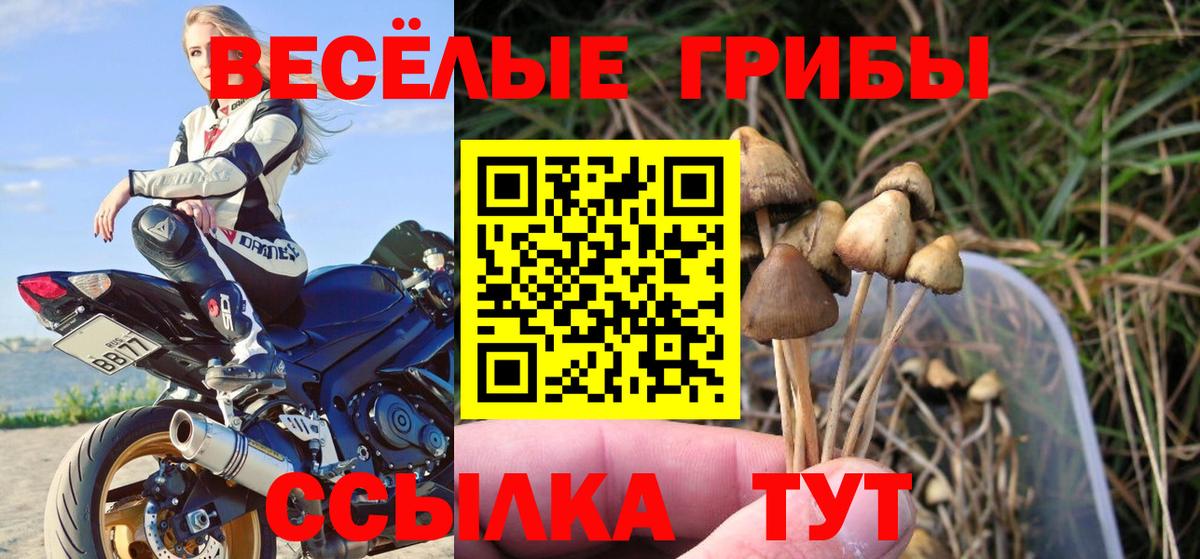 Миасс  Галлюциногенные грибы MAGIC MUSHROOMS  Галлюциногенные грибы Cubensis  Вход с VPN 