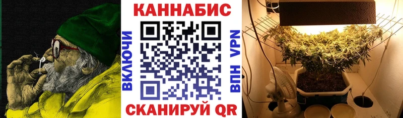 дарк нет телеграм  Миасс  Бошки Шишки THC 21% 